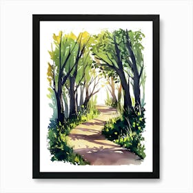 Watercolor Path In The Woods 1 Art Print