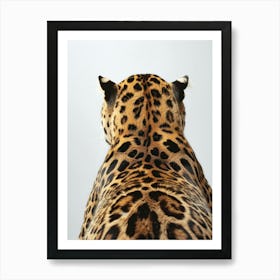 Leopard'S Back Art Print