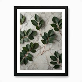 Eucalyptus Leaves On Marble Art Print