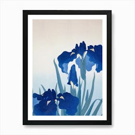 Blue Iris Art Print