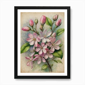 Apple Blossoms Art Print