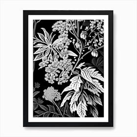 Elderberry Blossom Wildflower Linocut 2 Art Print