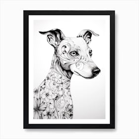 Whippet Dog, Line Drawing 4 Art Print