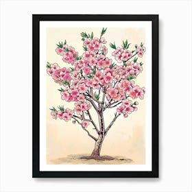 Cherry Blossom Tree Storybook Illustration 2 Art Print