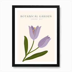 Botanical Garden 6 Art Print