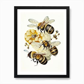 Buzzing Bees 3 Vintage Art Print