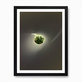 FLOWER In The Wall Art Print