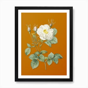 Vintage White Rose of York Botanical on Sunset Orange n.0499 Art Print