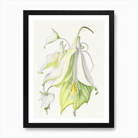 Angel S Trumpet Floral Quentin Blake Inspired Illustration 1 Flower Art Print