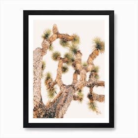 Joshua Tree Art Print