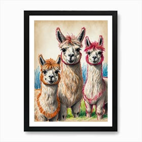 Three Alpacas 1 Art Print