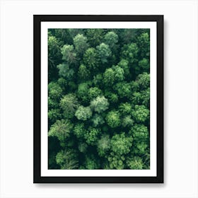 Aerial View Of A Forest Art Print