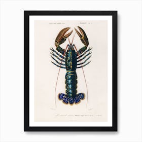 Crimson Crawfish Art Print