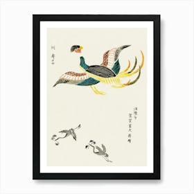 Japanese Vintage Original Woodblock Print Of Crane From Yatsuo No Tsubaki, Taguchi Tomoki Art Print