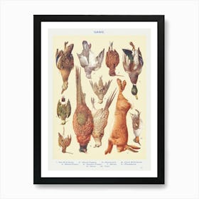 Game I Hen Wild Duck Art Print