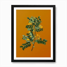 Vintage Siberian Pea Tree Botanical on Sunset Orange n.0490 Art Print