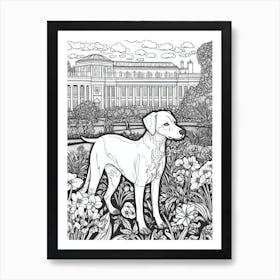 Drawing Of A Dog In Kew Gardens, United Kingdom In The Style Of Black And White Colouring Pages Line Art 02 Art Print
