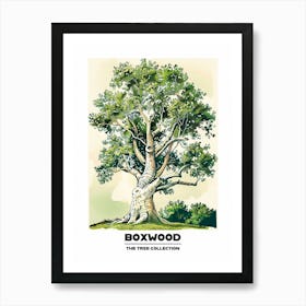 Boxwood Tree Storybook Illustration 2 Poster Art Print