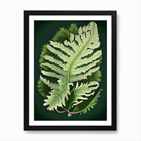 Soft Shield Fern 2 Vintage Botanical Poster Art Print