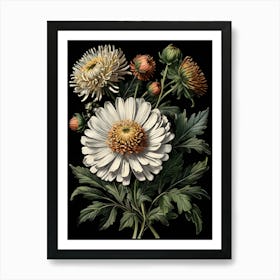 Asters Art Print