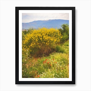 Sierra Nevada Springtime Art Print