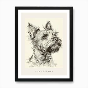 Silky Terrier Dog Line Sketch 4 Poster Art Print