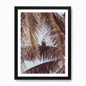 Eagle In Palm Tree Art Print