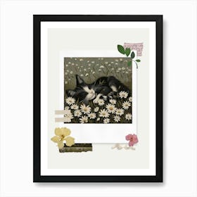 Scrapbook Sleeping Kitten Fairycore Painting 3 Art Print