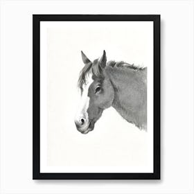Head Of A Horse, Jean Bernard Art Print