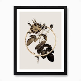 Gold Ring Harsh Downy Rose Glitter Botanical Illustration Art Print