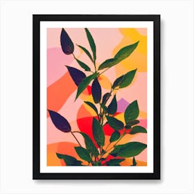 Cuban Oregano Colourful Illustration Art Print