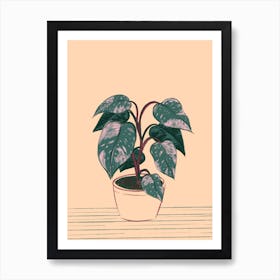 Philodendron Plant Art Print