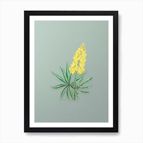 Vintage Yellow Perennial Lupine Flower Botanical Art on Mint Green n.0470 Art Print