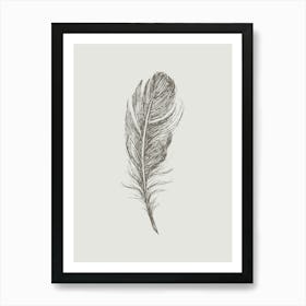 Grey Feather Print 5 Art Print