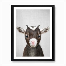 Baby Goat Art Print