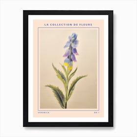 Veronica French Flower Botanical Poster Art Print