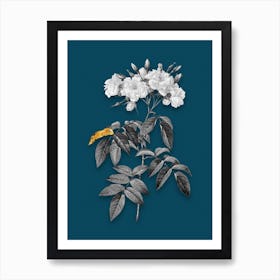 Vintage Musk Rose Black and White Gold Leaf Floral Art on Teal Blue n.0347 Art Print