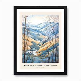 Muir Woods National Park United States Poster Art Print