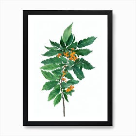 Sensitive Plant (Mimosa Pudica) Watercolor Art Print