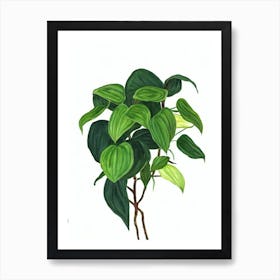 Pothos (Epipremnum Aureum) Watercolor Art Print