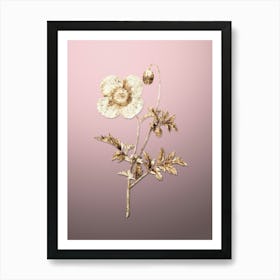 Gold Botanical Welsh Poppy on Rose Quartz n.2561 Art Print