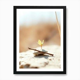 Small Plant Growing On A Rock Art Print