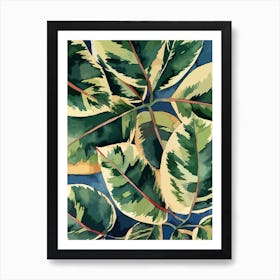 Ficus Elastica Variegata 1 Art Print