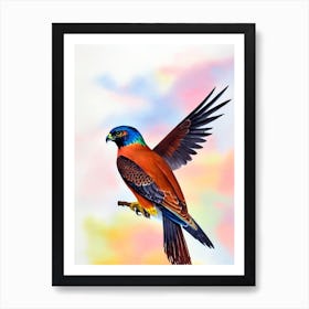 Falcon Watercolour Bird Art Print