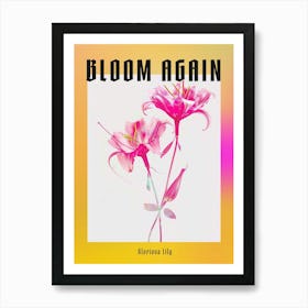 Hot Pink Gloriosa Lily 3 Poster Art Print