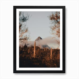 Foggy Morning In The Sonoran Desert Art Print