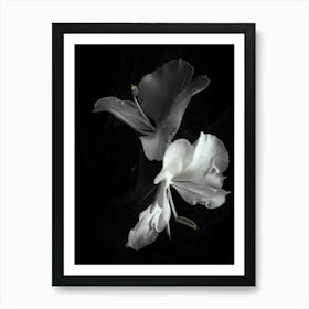 Black And White Flowers 2 Art Print