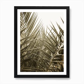 Palm Forest Art Print