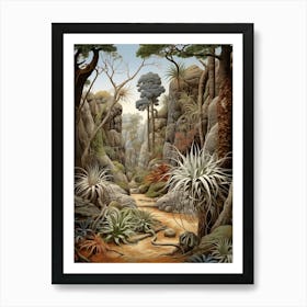 Vintage Jungle Botanical Illustration Air Plant 2 Art Print