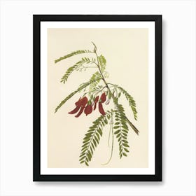 Plant With Red Flowers Art Print